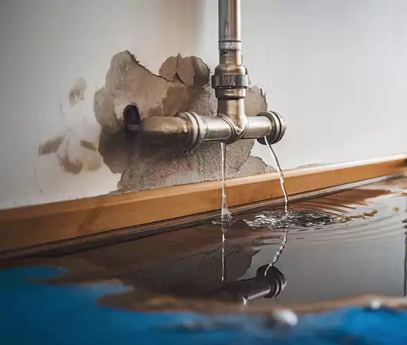 Professional Water Damage Restoration Experts in Greenlawn, NY — Fast, Reliable & Certified