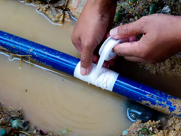  Why Choose Greenlawn Plumbing for Leak Detection in Greenlawn, NY?]