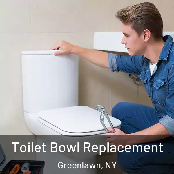  Toilet Bowl Replacement Greenlawn, NY
