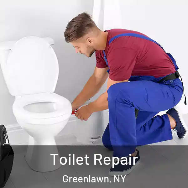  Toilet Repair Greenlawn, NY