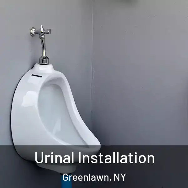  Urinal Installation Greenlawn, NY