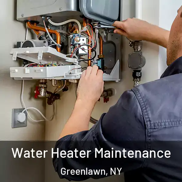  Water Heater Maintenance Greenlawn, NY
