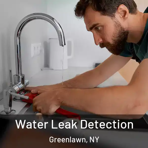  Water Leak Detection Greenlawn, NY